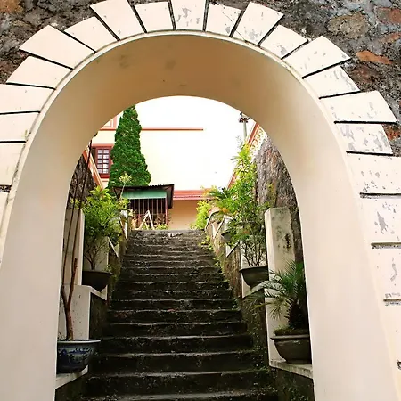 Khách Sạn Cây Thông-2