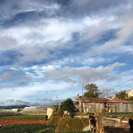 Kimi Homestay Da Lat-2