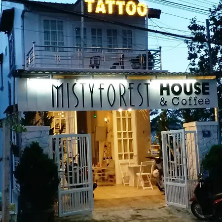 Misty Forest House-2