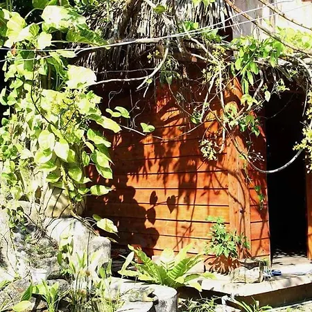 Bach Cuc Homestay-2