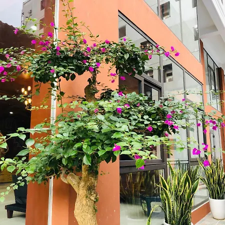 Cocoon Inn Cat Ba-2