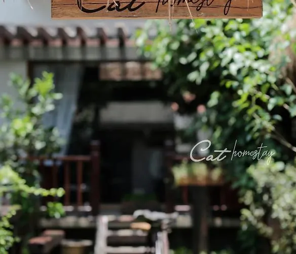 Cat Homestay