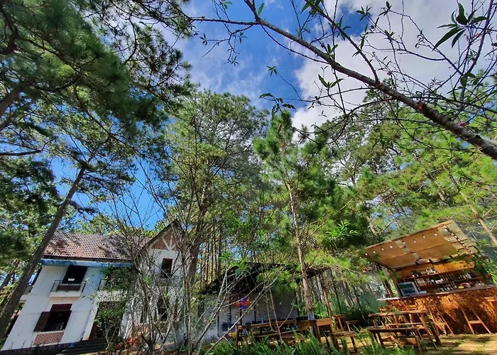 Chino Mang Den - Villa Tai Mang Den