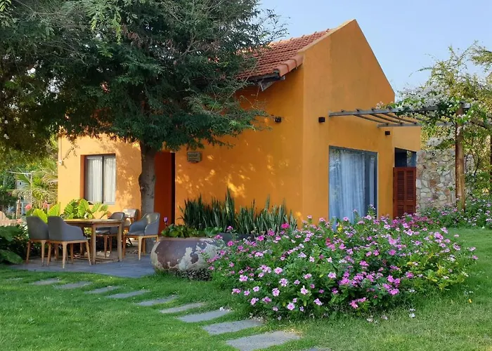 Lotus Beach House