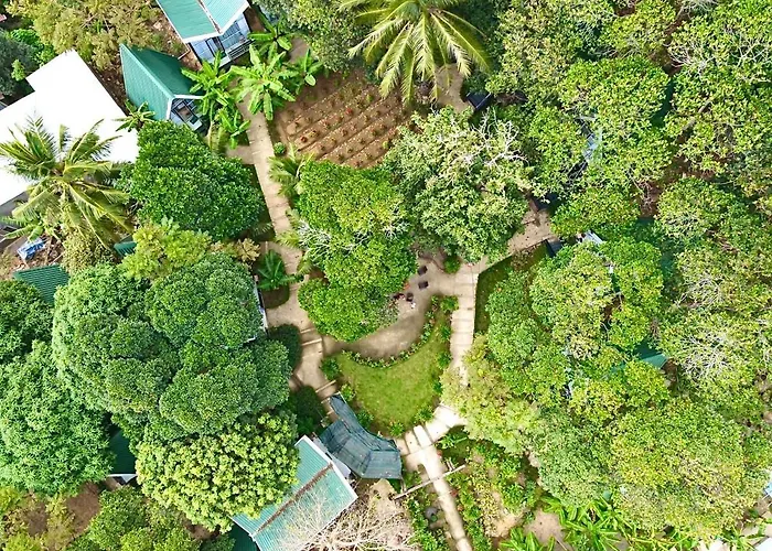 Homestay De la Rosa - Côn Đảo