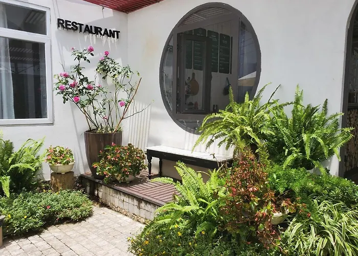 Le Vent Tam Đảo