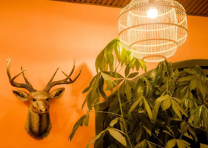 Steed Hotel Da Lat