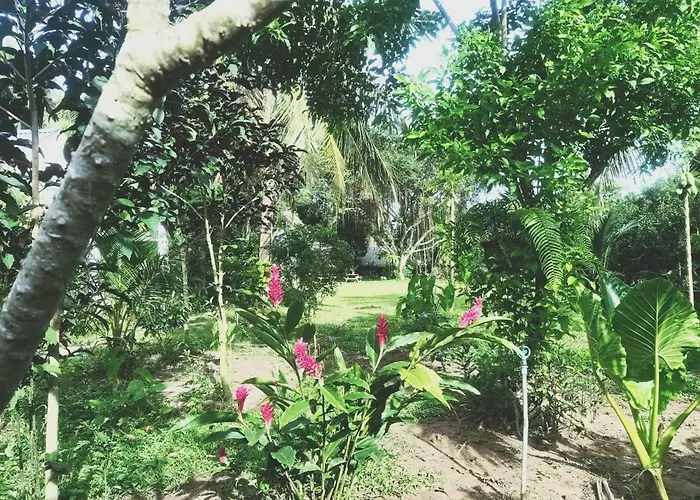 Happy Farm Tien Giang Homestay Mỹ Tho, Việt Nam