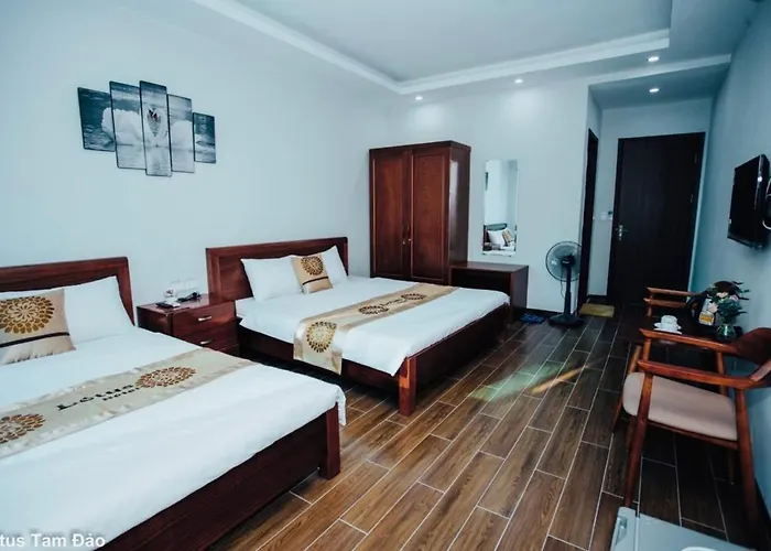 Lotus Tam Dao Hotel