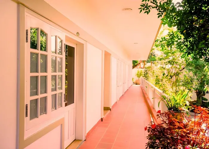 Villa Dieu Thong - Secrect Garden, View San May Va Nui