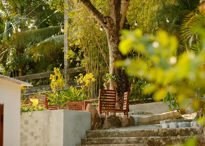 Vibe House - Nhà Dân