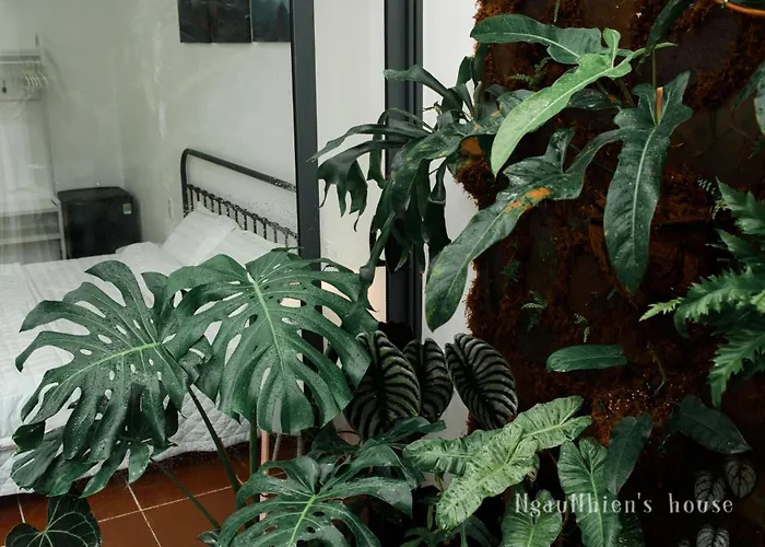 Ngaunhien'S House -
