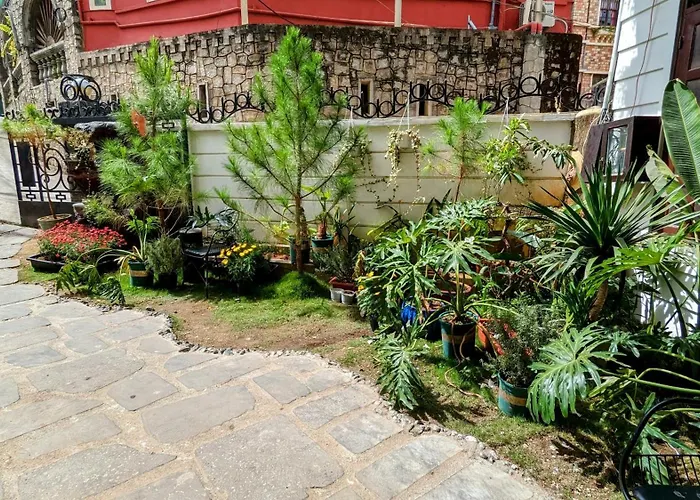 Wasabi House - Homestay Ben Cho