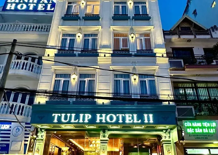 Tulip 2