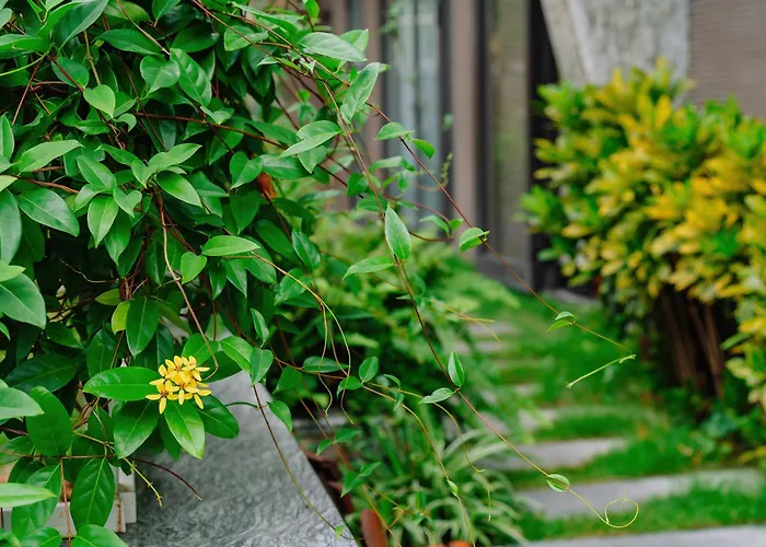 Cat Ba Eco Hotel