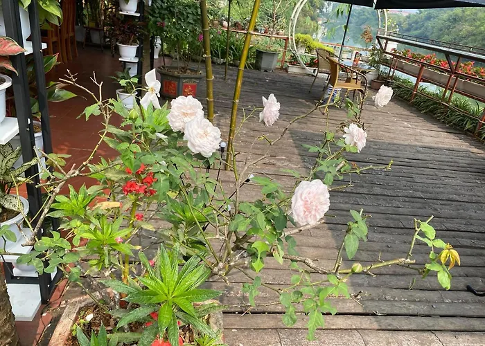 Garden Villa Homestay And Tour Motorbike&Car For Rent