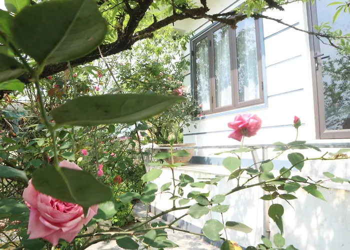 Mây Núi Homestay