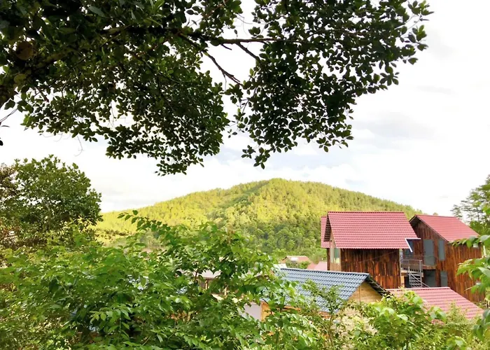 Tổ Chim Ri Homestay Măng Đen