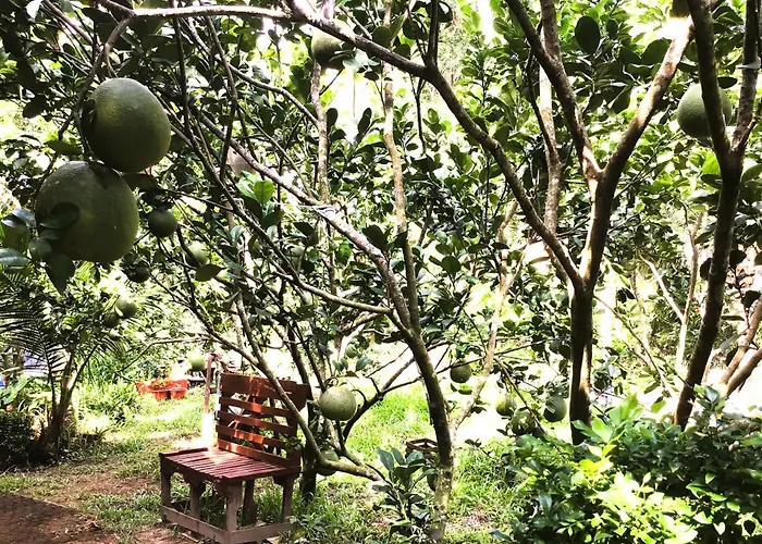 Ben Tre Farm Stay