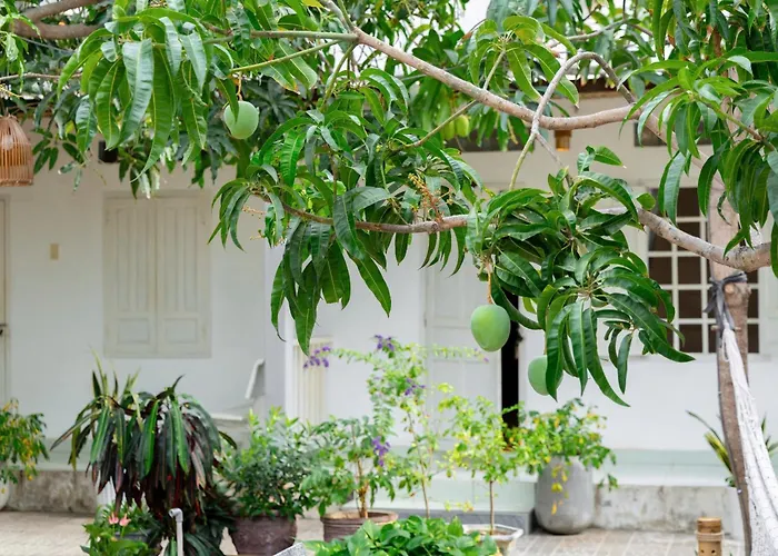 Binhyen Homestay Mũi Né, Việt Nam
