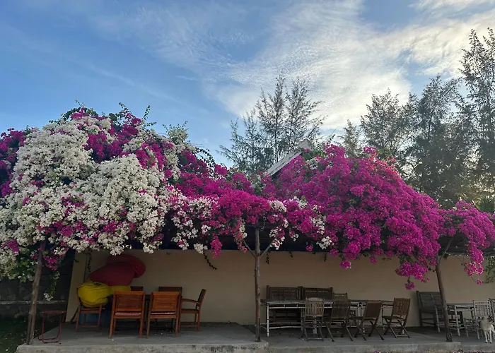 Orchid Boutique Beach