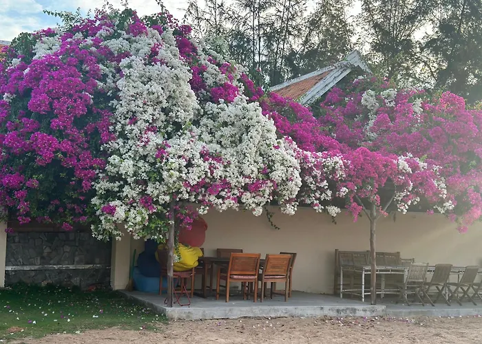Orchid Boutique Beach Resort Phan Thiết, Việt Nam
