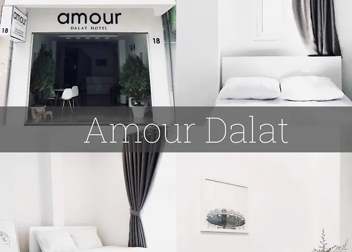 Amour Dalat Hotel