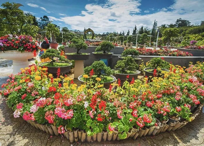 Dream Flower Hotel
