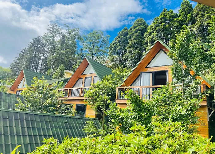 Sapa Pine Hill Eco Lodge
