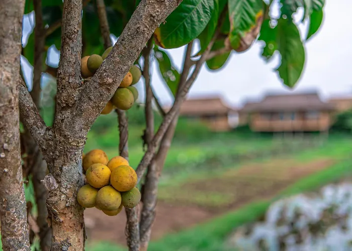 Mekong Riverside Boutique Resort & Spa
