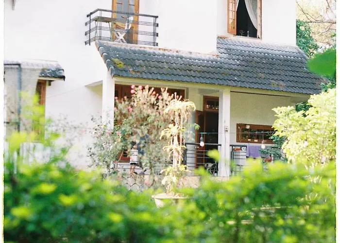 Sum Villa Homestay Mang Den