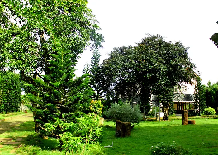 Trung Nguyên Coffee Resort