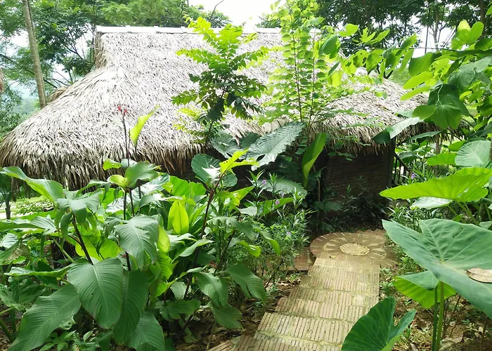 Puluong Home