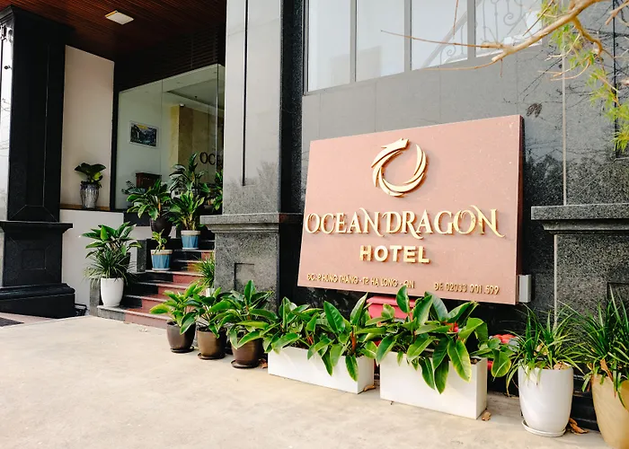 Ocean Dragon