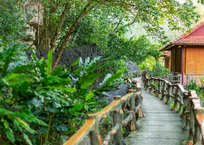 Lotus Field Homestay