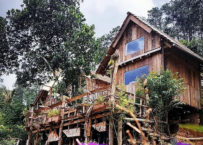 Tổ Chim Ri Homestay Măng Đen