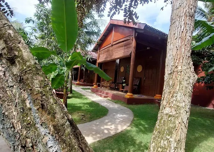 Coconut Homestay Mỏ Cày Nam Bến Tre, Việt Nam
