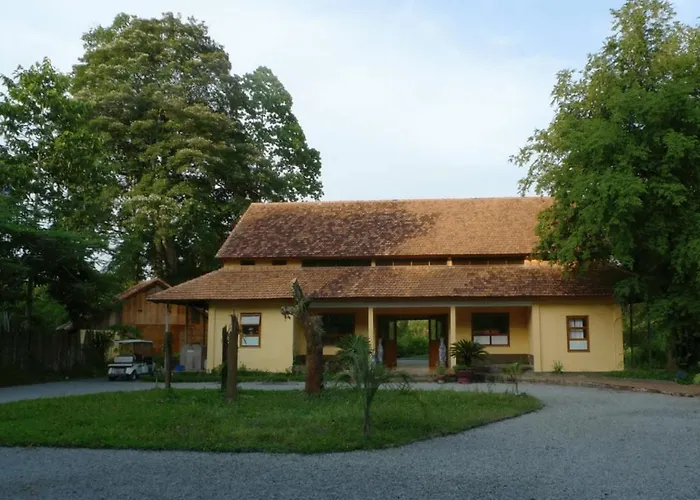 Forest Floor Lodge