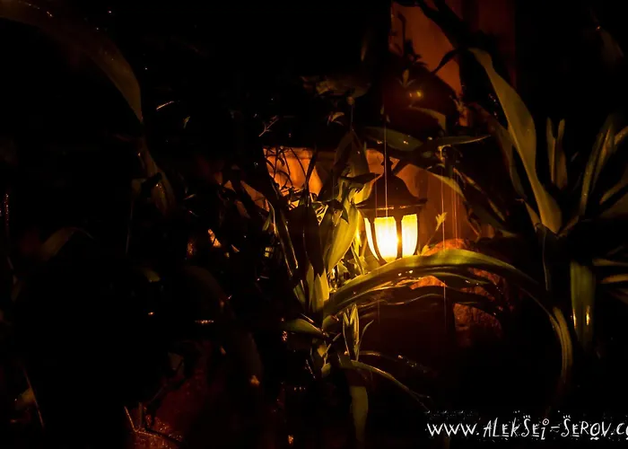 Joe'S Cafe & Garden Resort