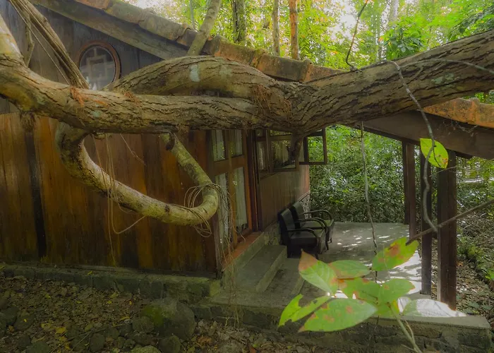 Forest Floor Lodge