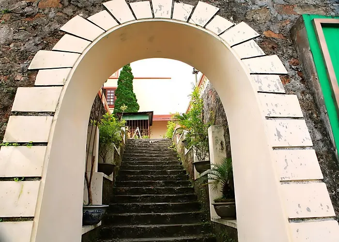 Khách Sạn Cây Thông