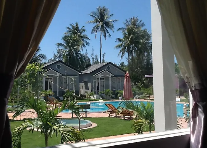 Areca