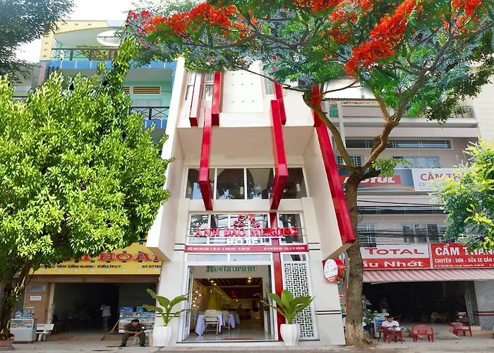 Anh Dao Mekong Hotel