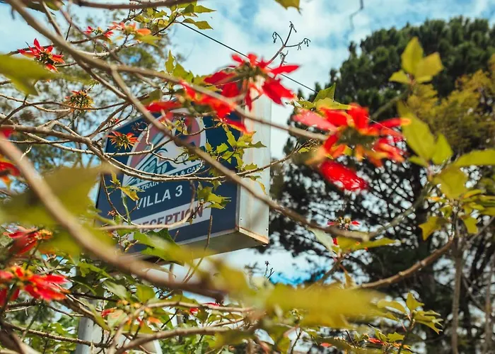 Dalat Train Villa