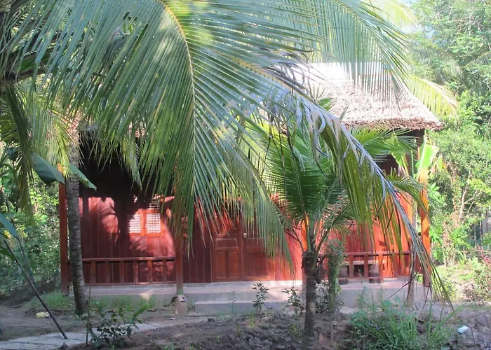 Xóm Dừa Nước